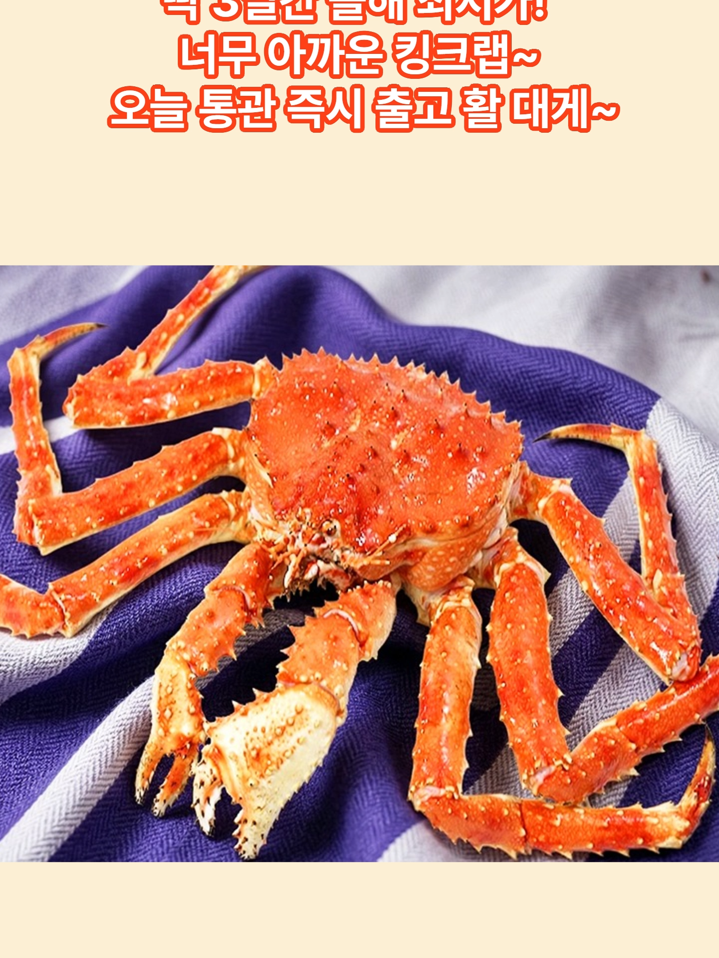 @킹크랩 대게 동해수산유통