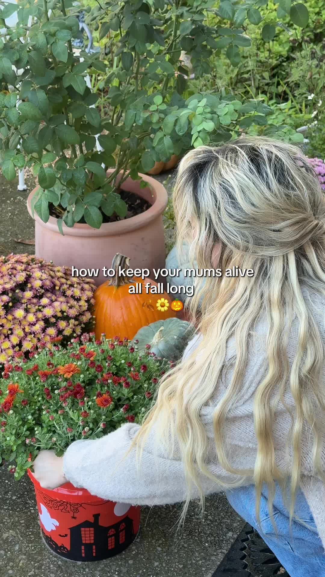 @kalena💐🧺