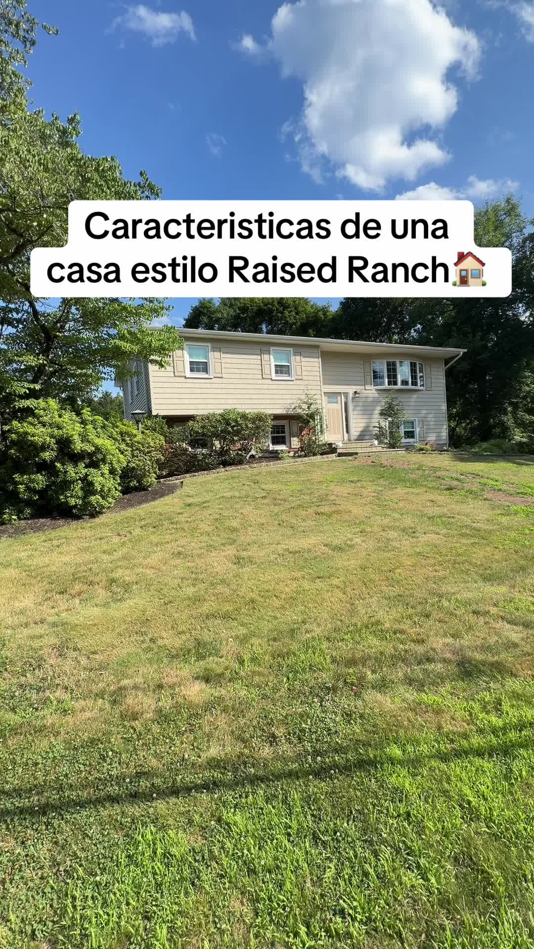 @Dio Espinal