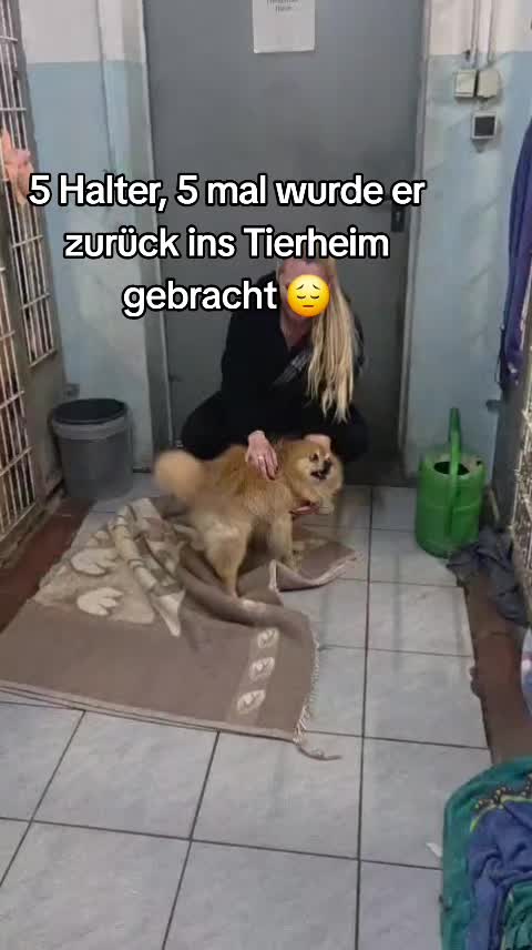 @DAS WUFF HAUS