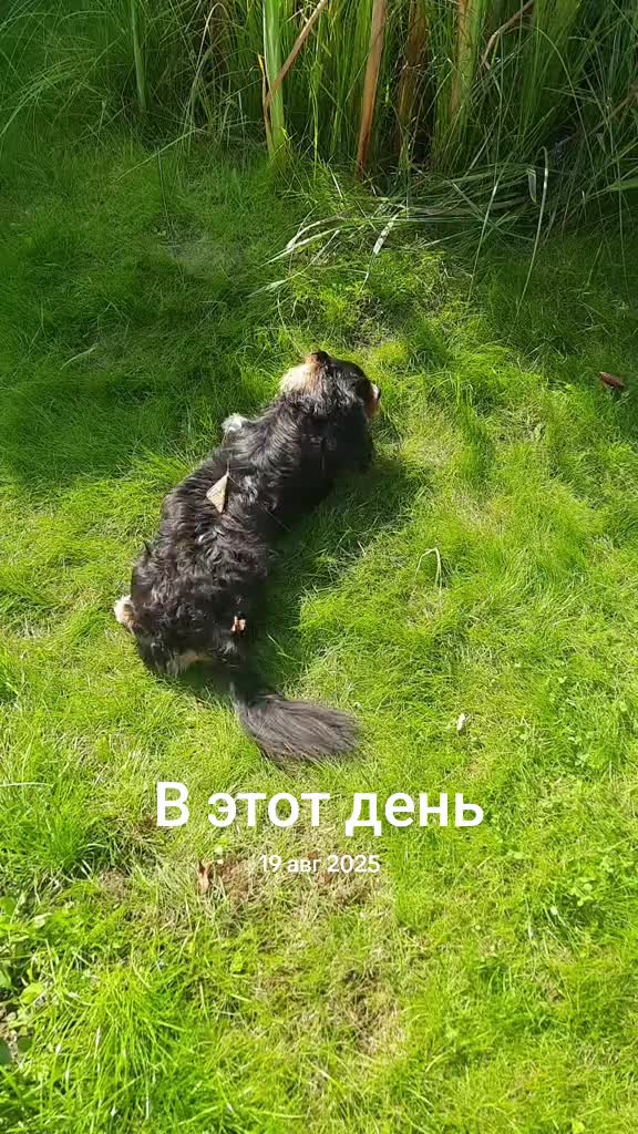 @Оле4ka🪆Olga