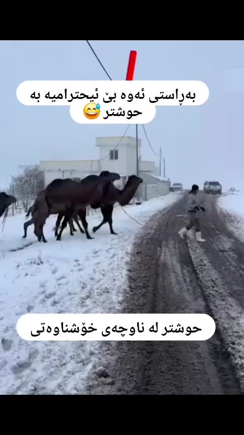 @𝒦𝒜ℛ𝒵𝒜𝒩