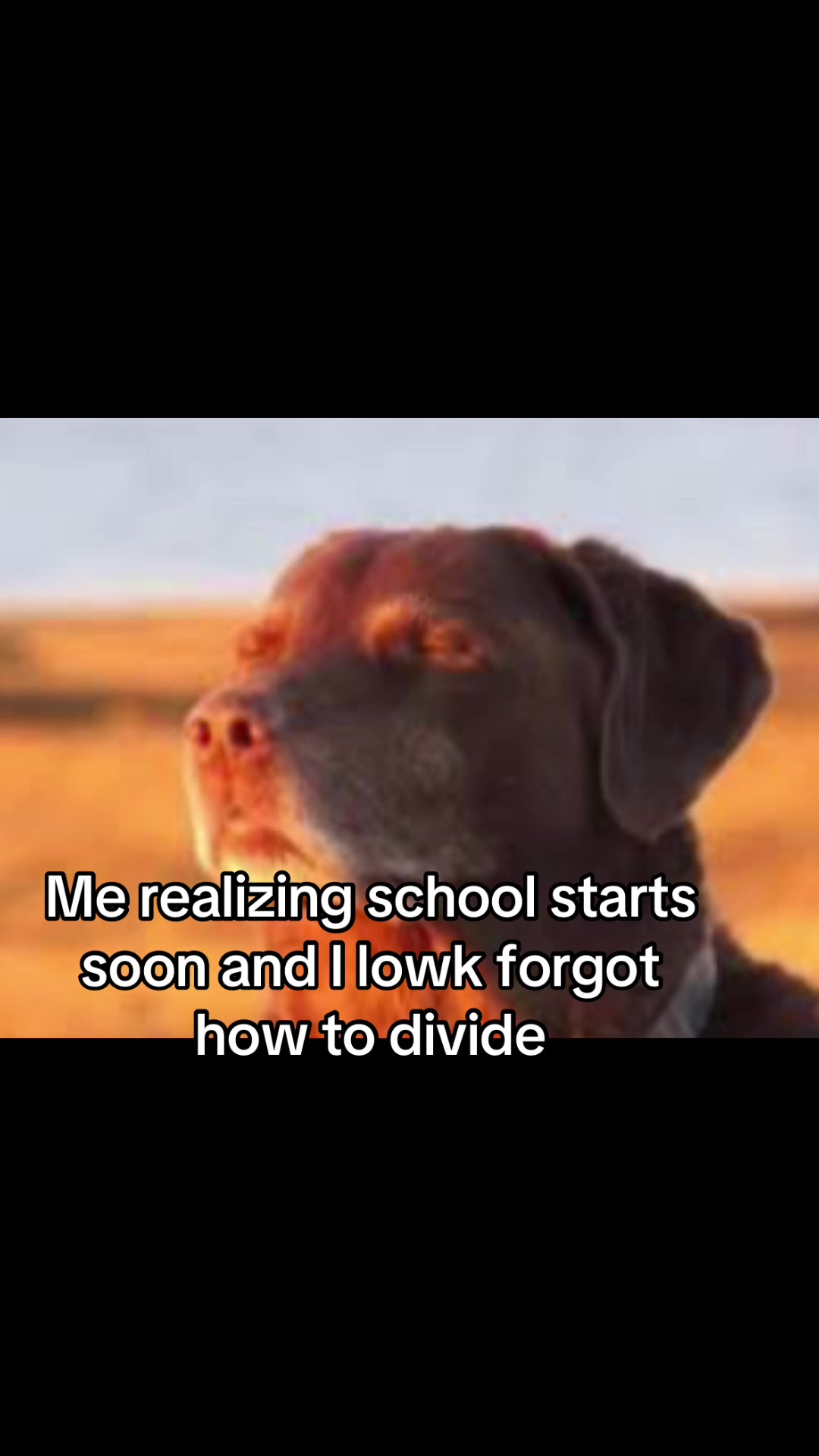 @enzo