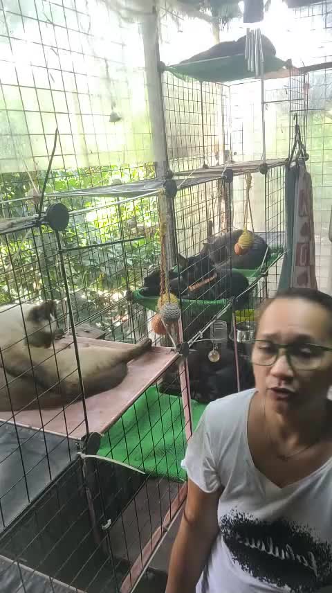 @CrazyCatMe