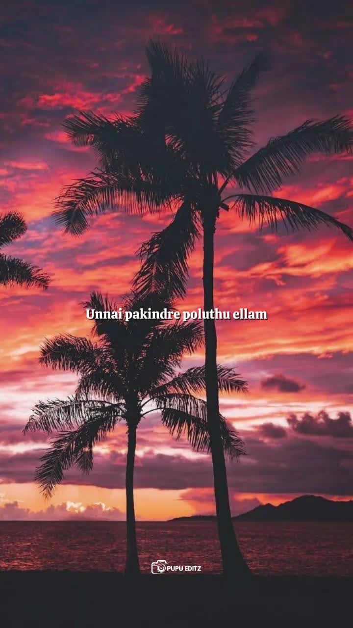 @PUPU BGM'S