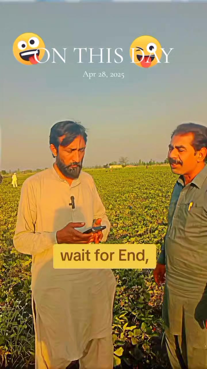 @moazam ali 4691