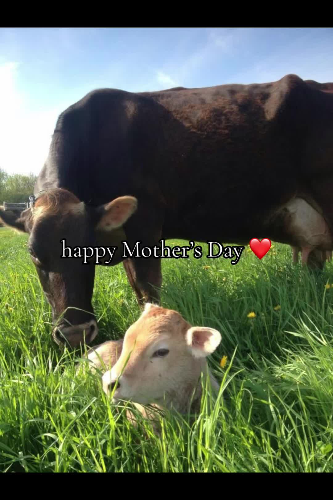 @farmerssdaily