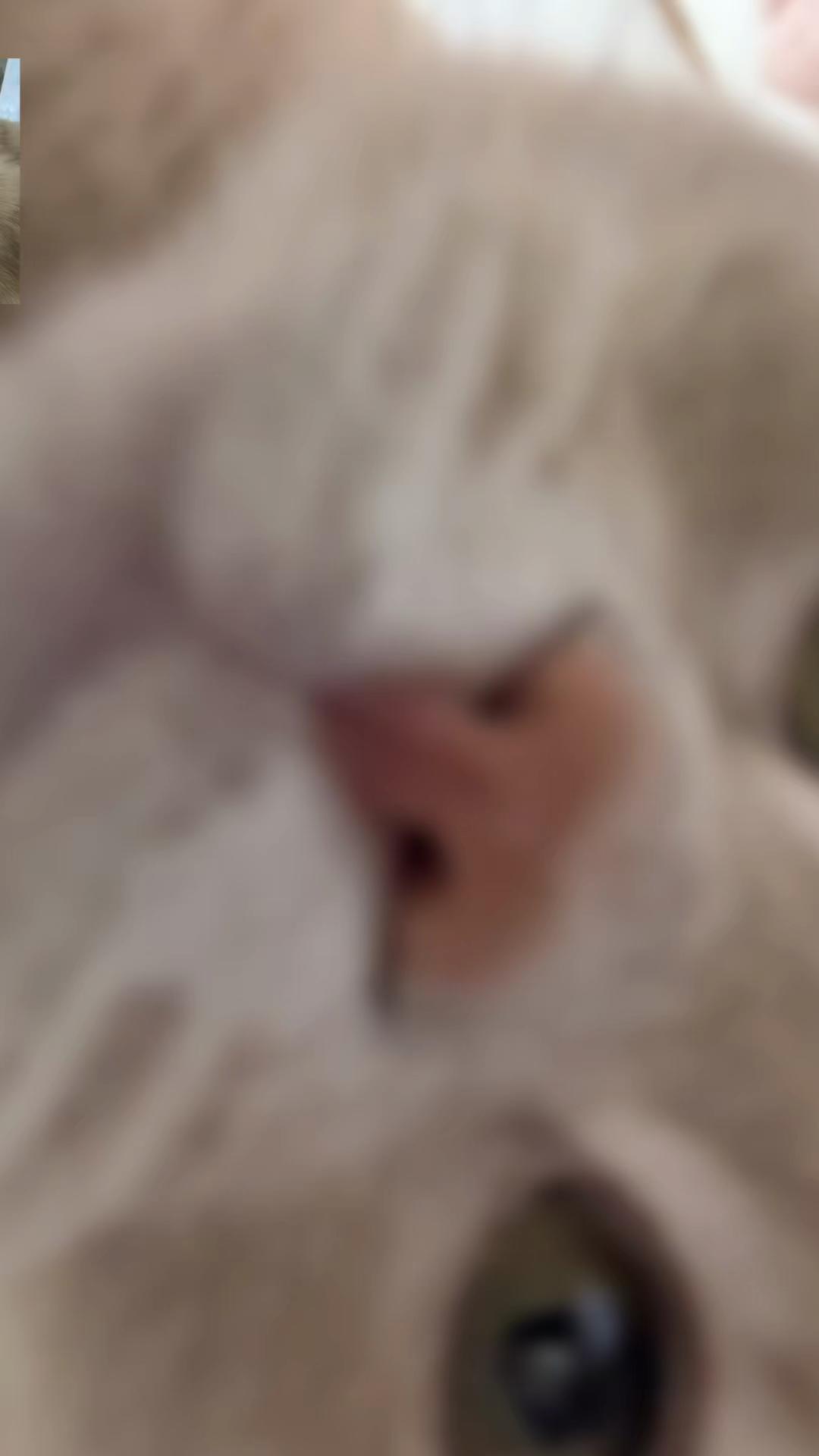 @ð«ð§ããã±ã³ðïžãããµãð§ð«