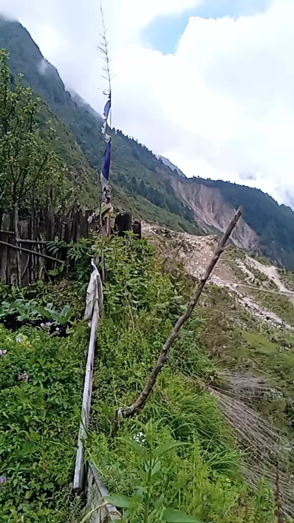 @Pupulamu22
