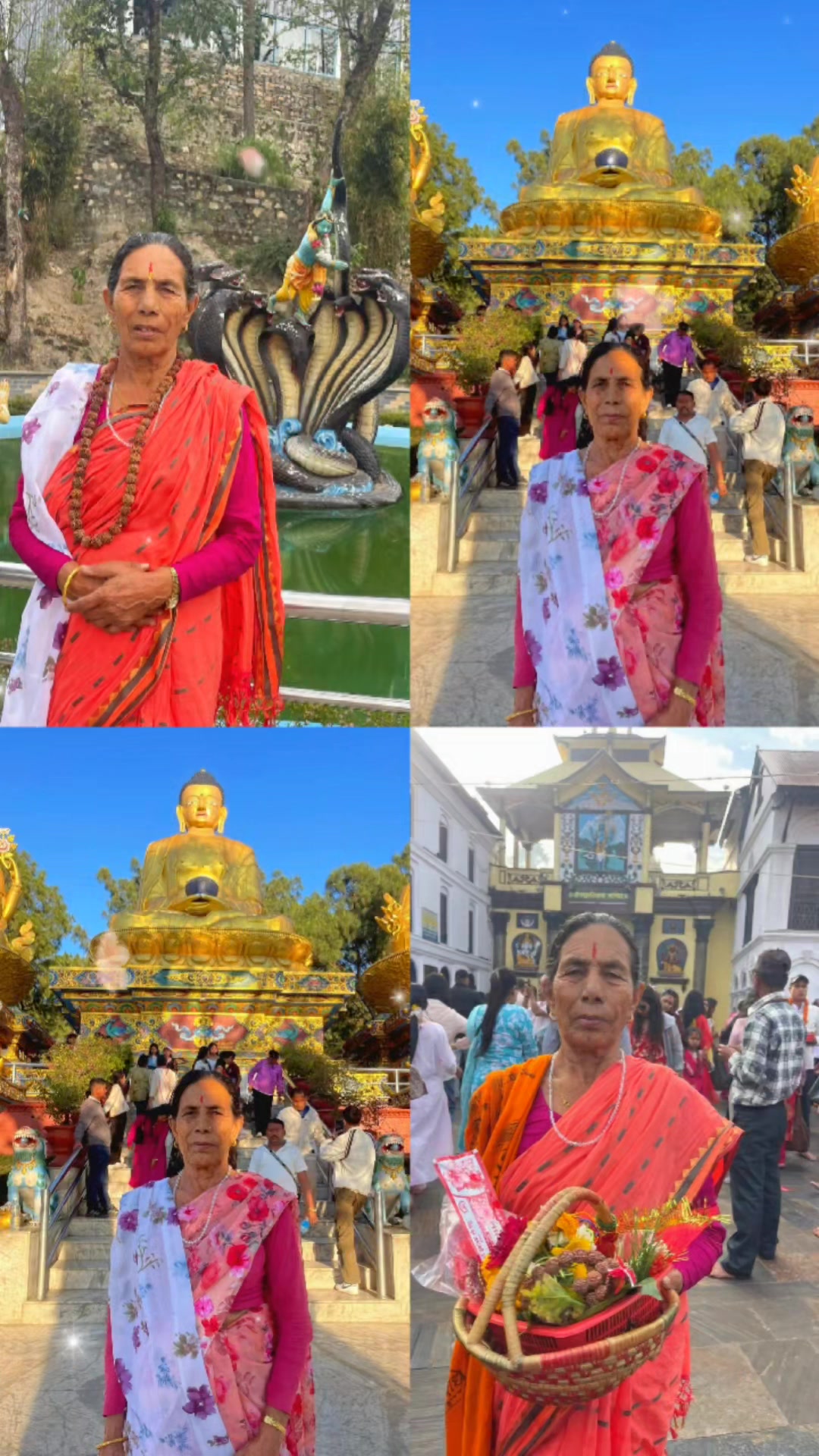 @नानु गौडेल