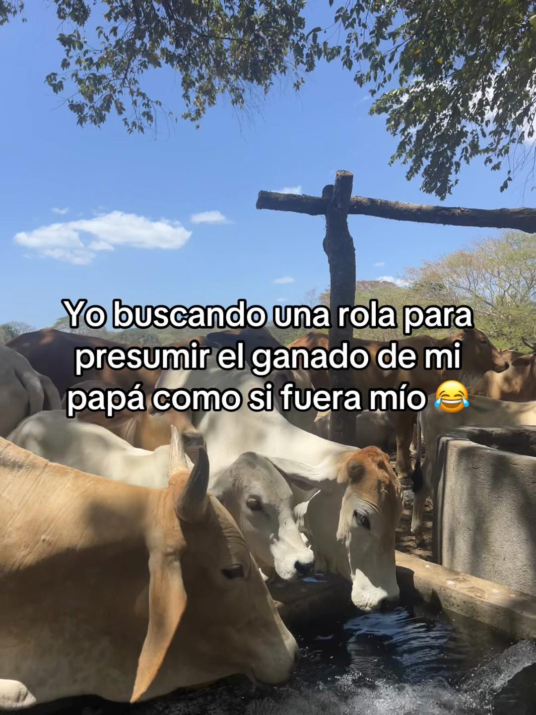 @Liss! 🤠