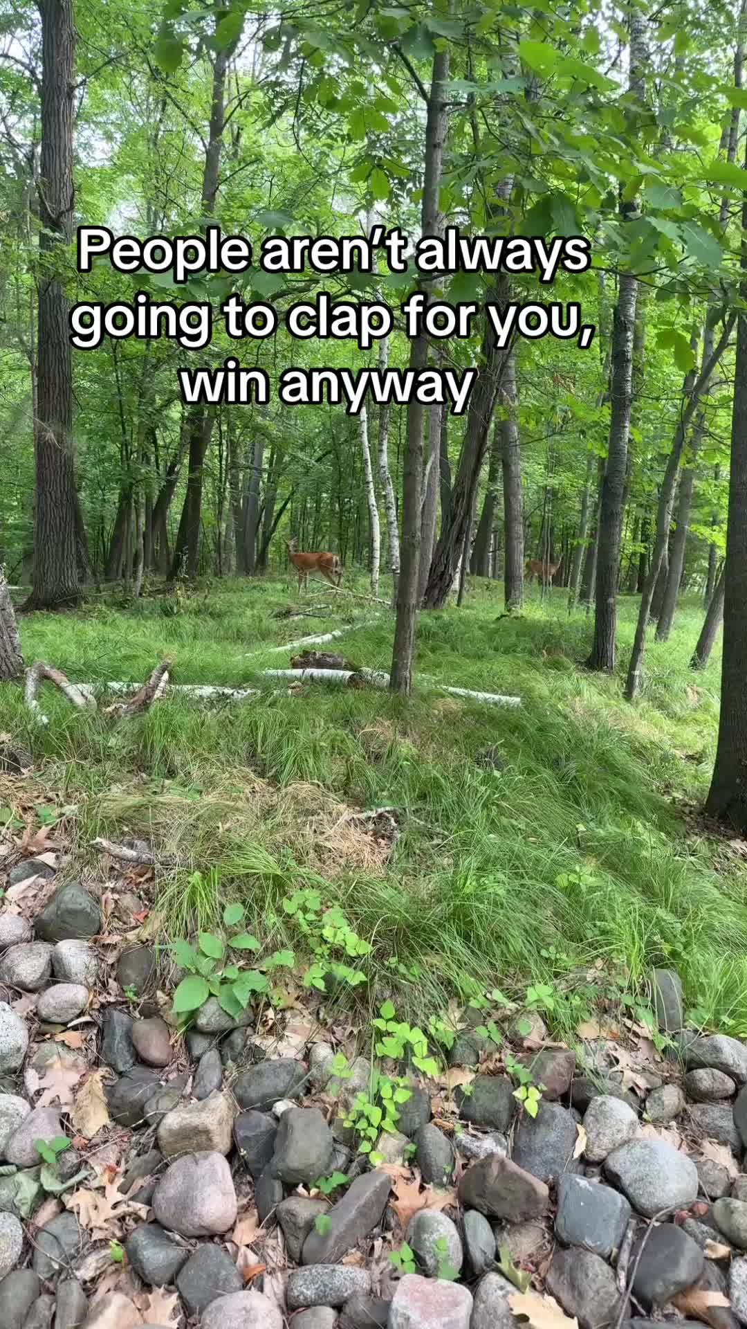 @Mich T