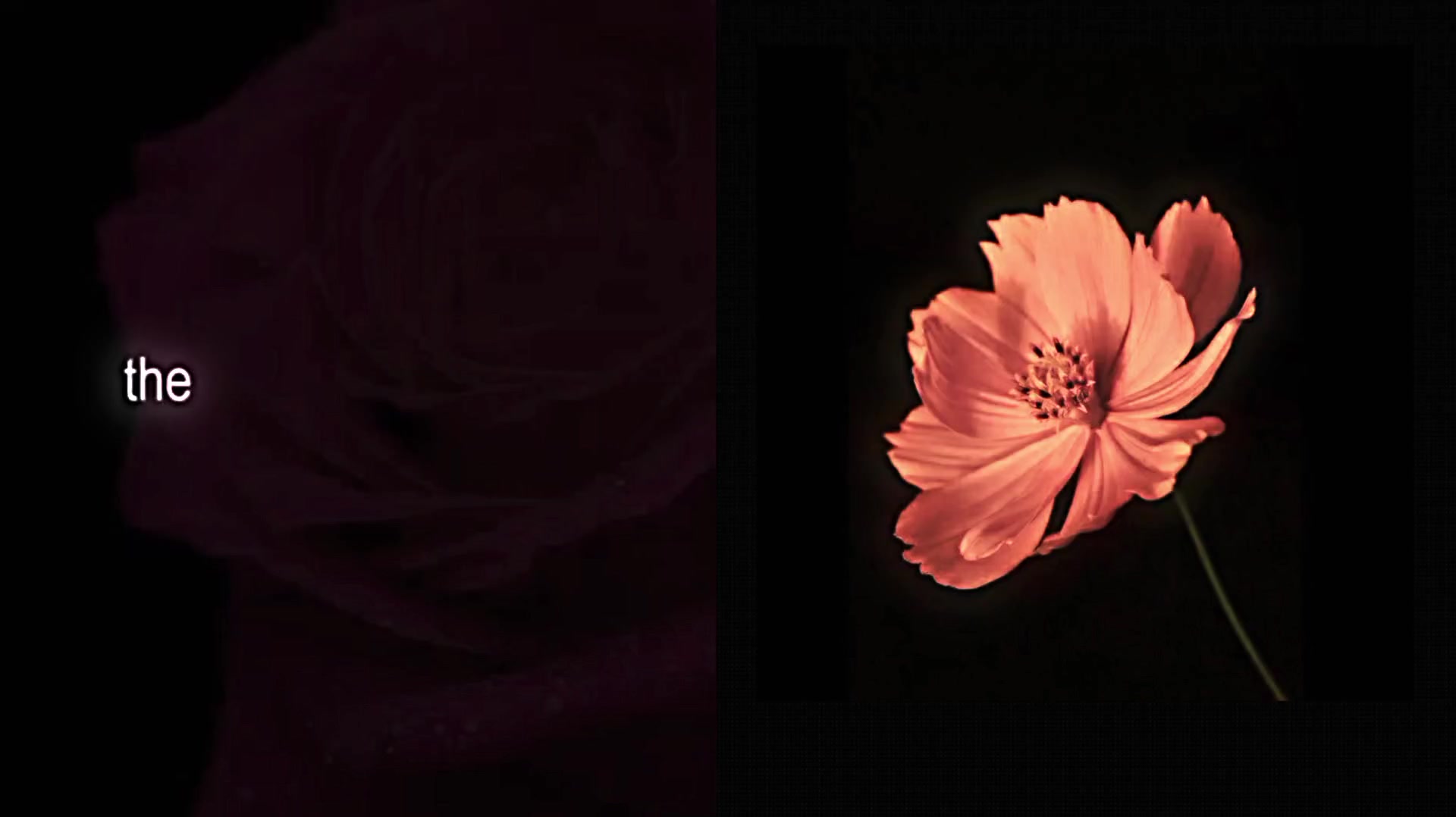 @𝘷𝘦𝘭𝘮𝘮𝘳𝘢𝘺𝘹