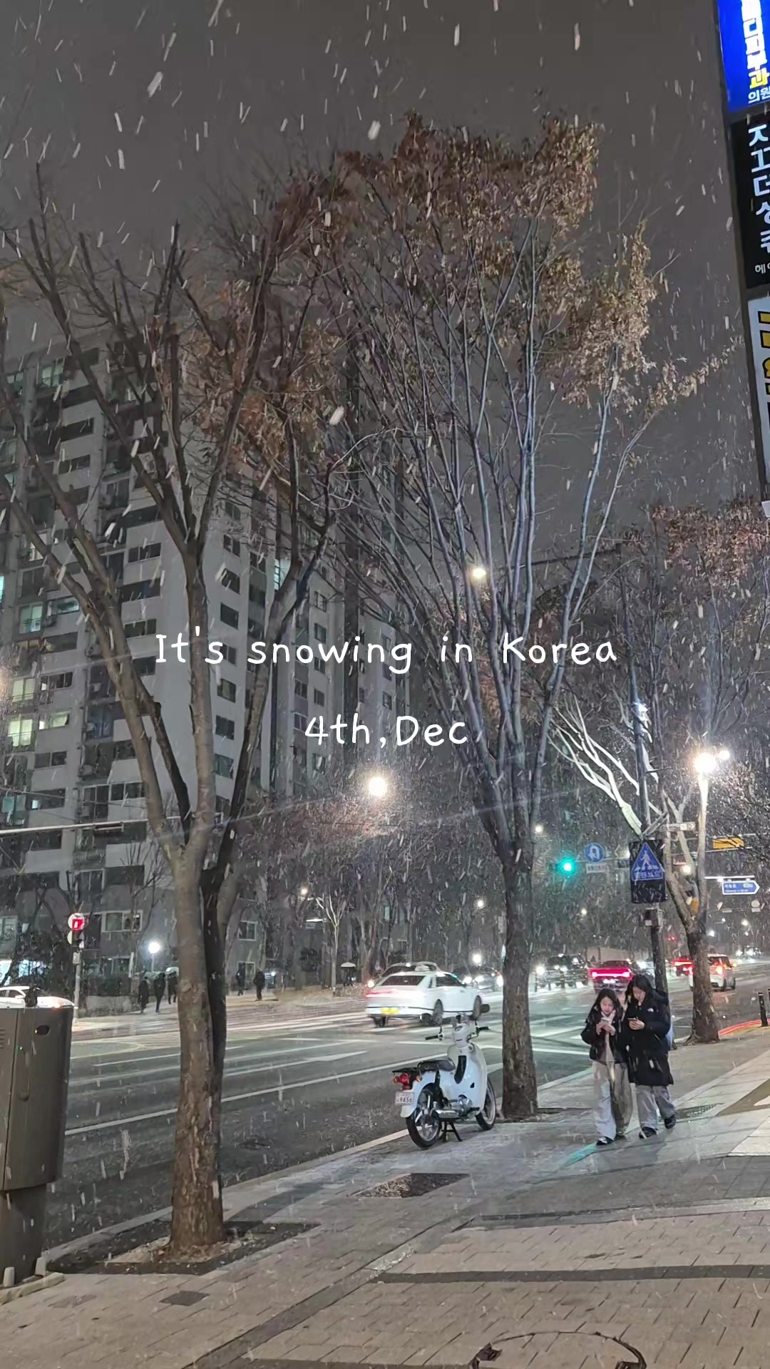 @🌱 CHANII🇰🇷 🌱