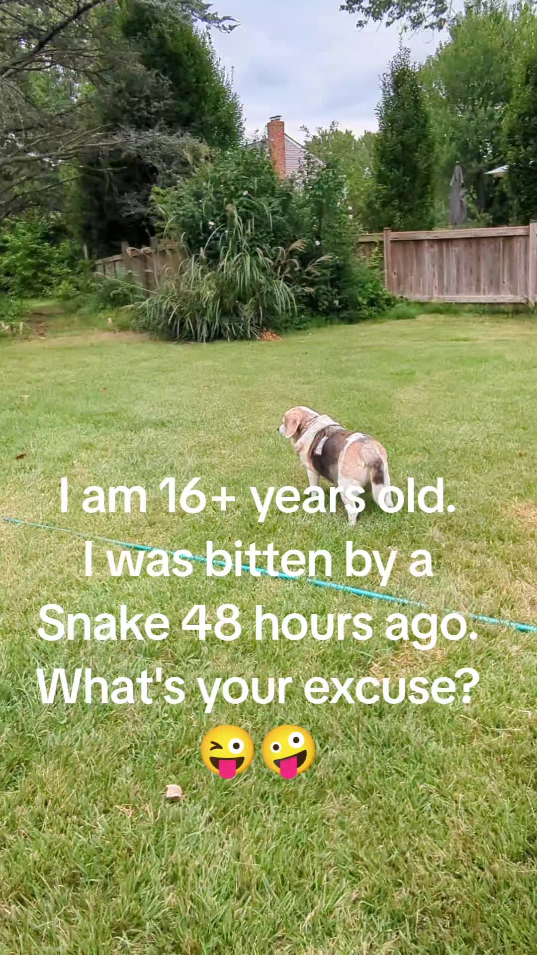 @Rob