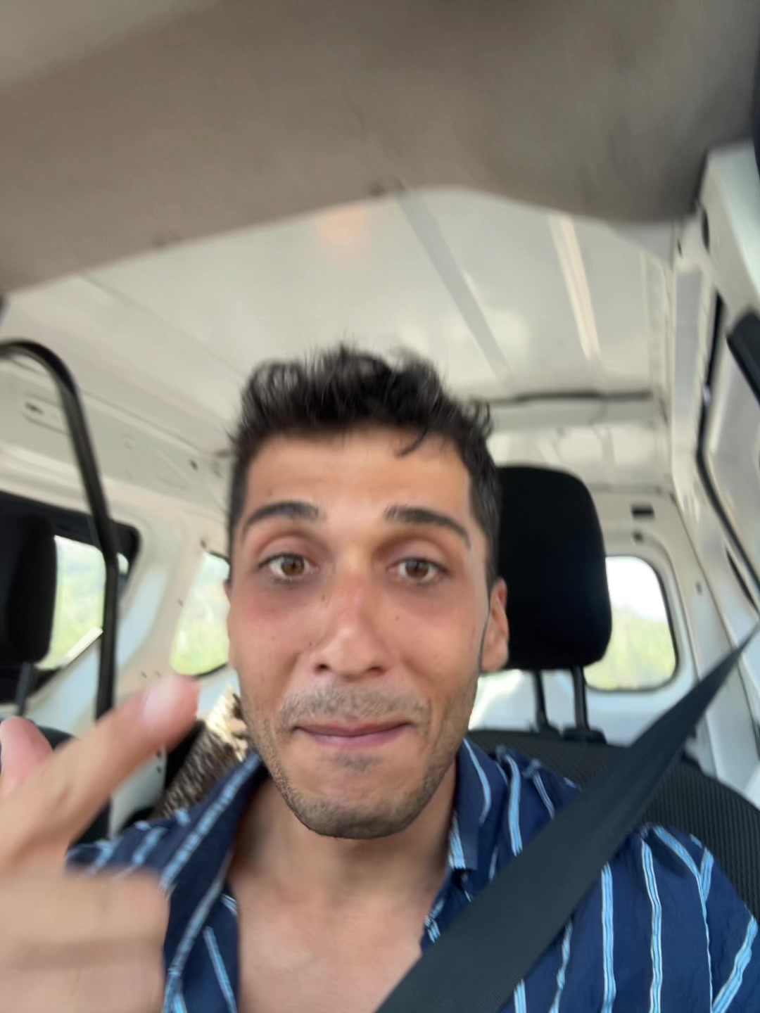 @shamil