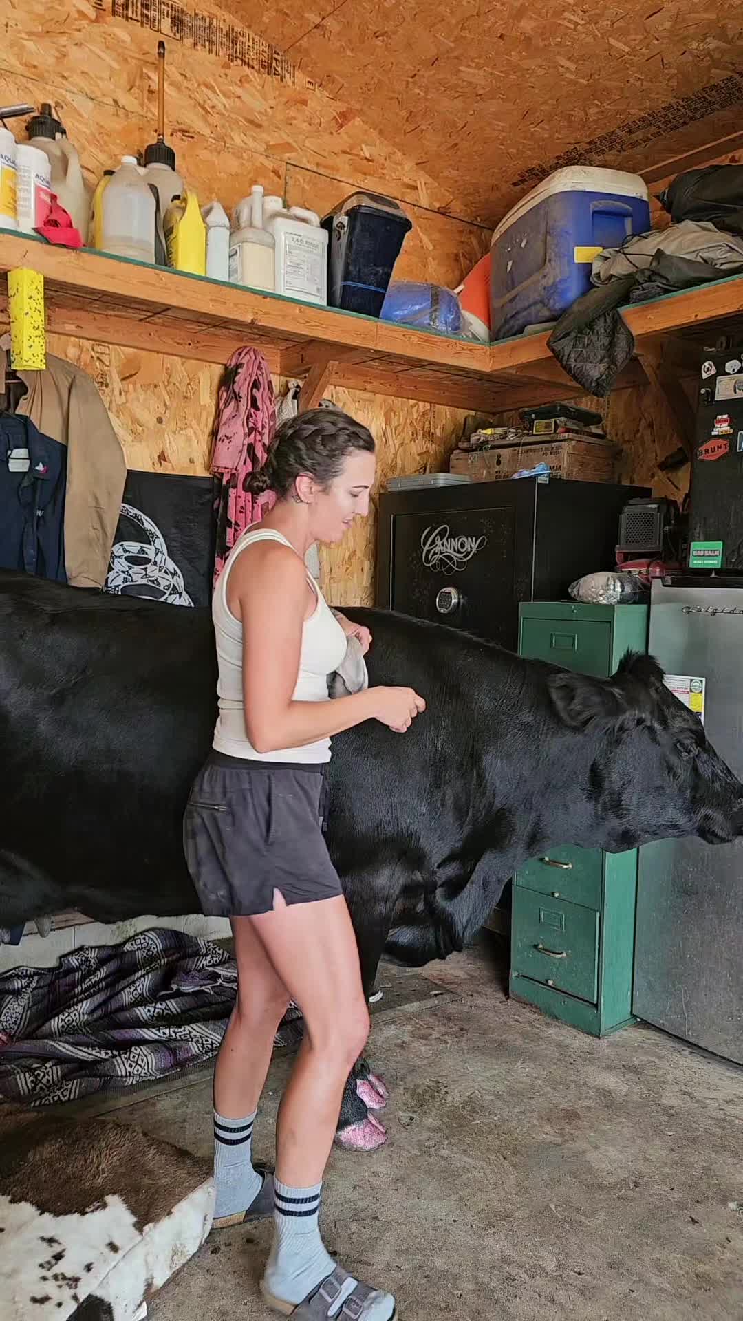 @Dakotafunnyfarm
