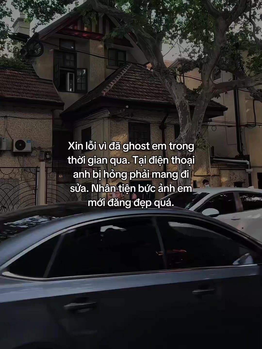 @gia bao.