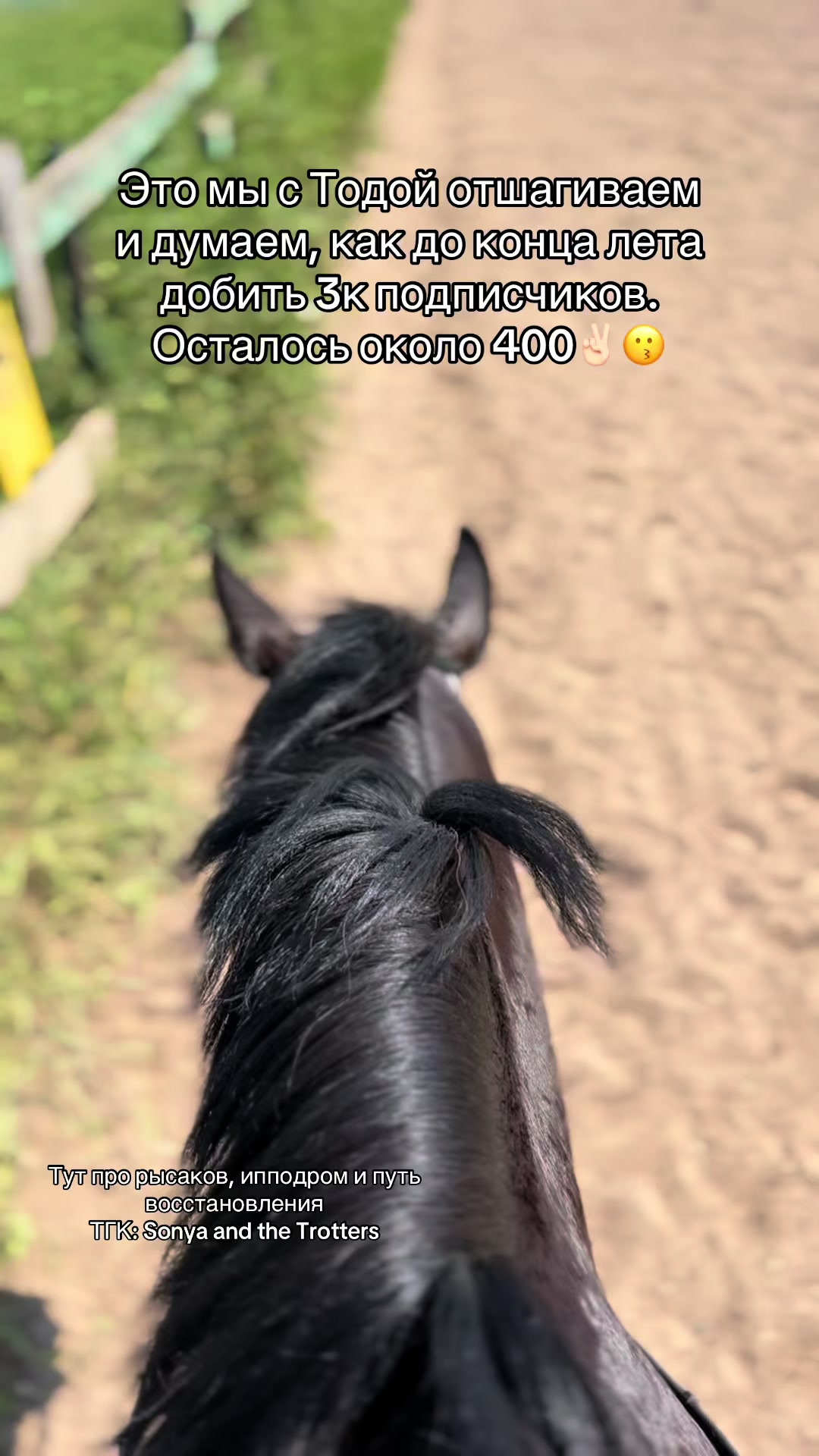 @ТГК: Sonya and the Trotters🐴
