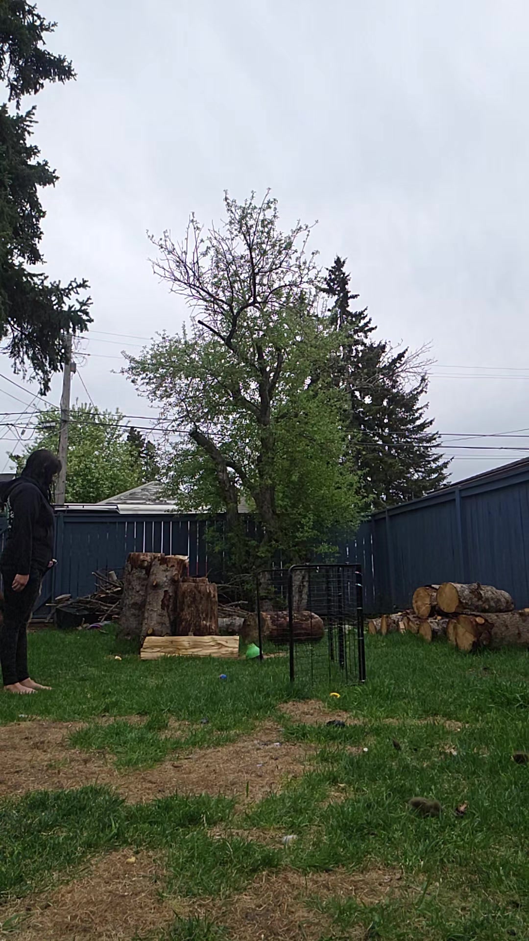 @Steph-RaisingHell.Hounds🇨🇦