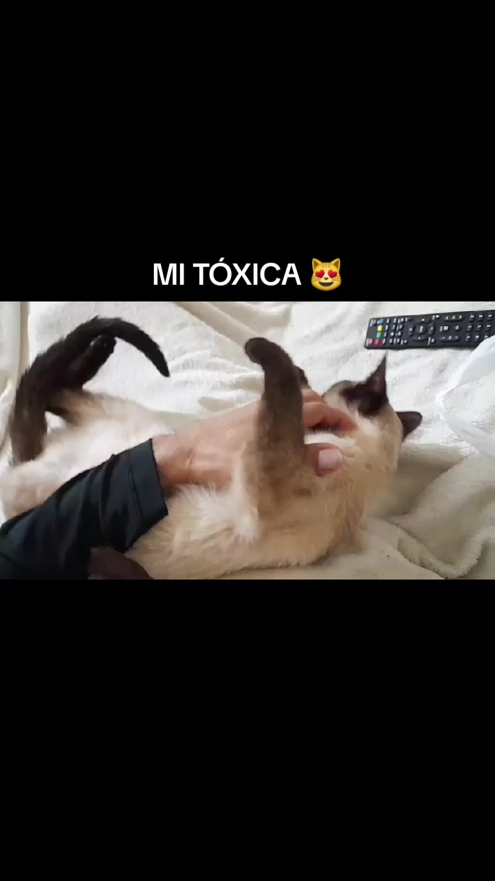 @😻JOSEMA🎙🎧