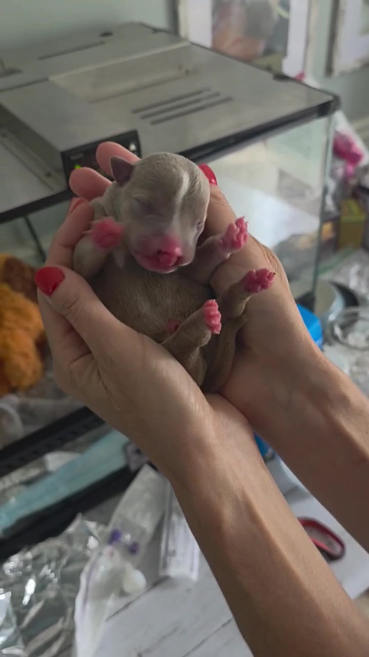 @Cleft Rescue Unit