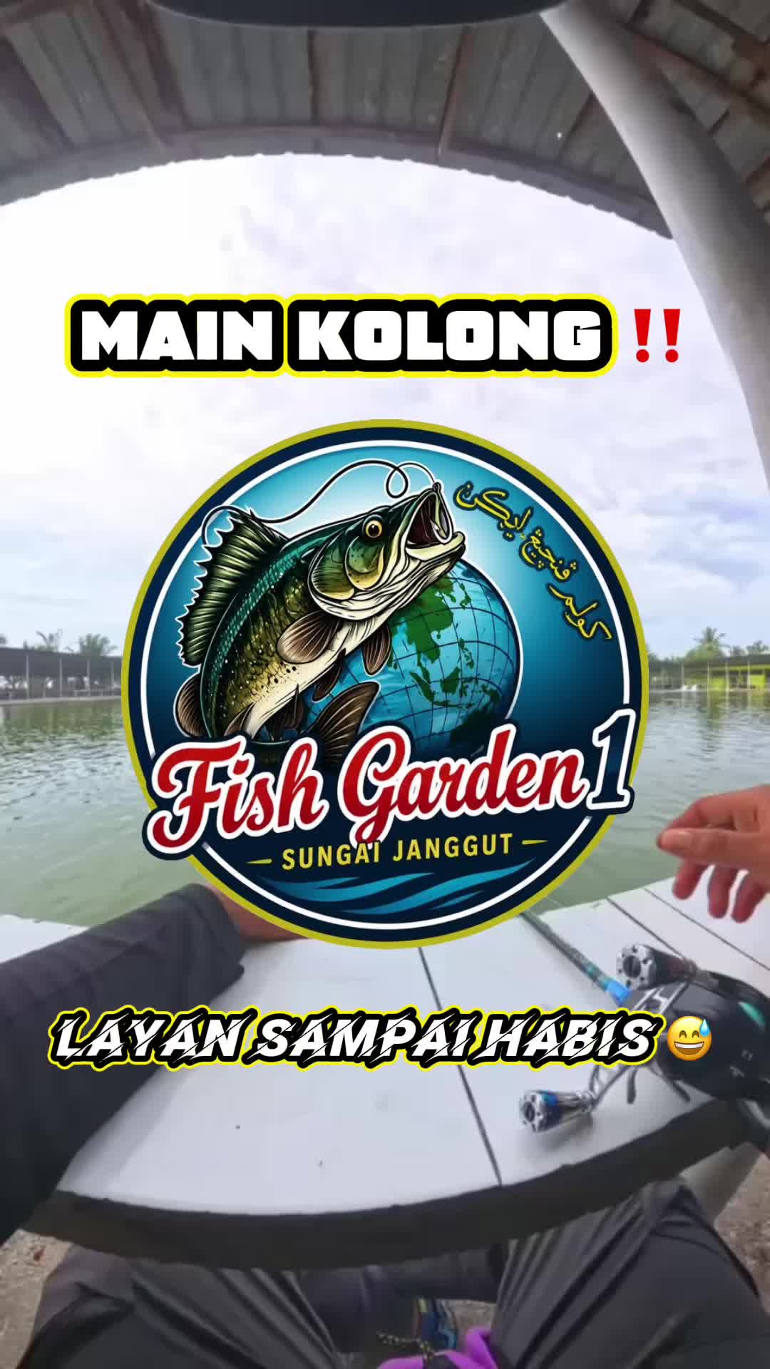 @M Z Reel 🎣