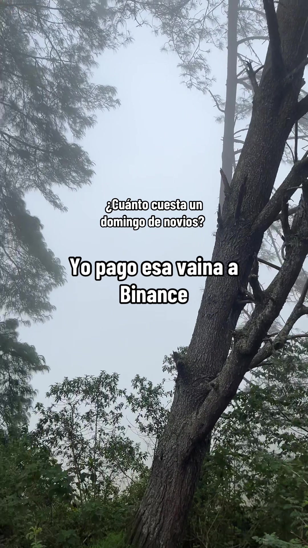 @Ignacia