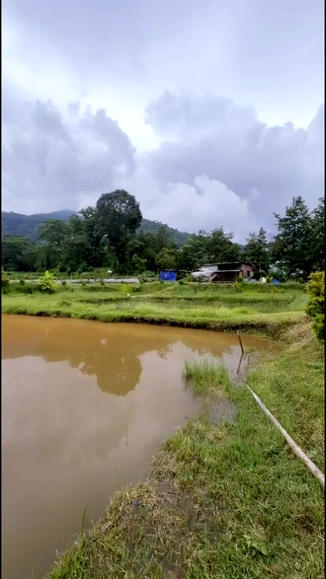 @๐
ถ๐
พ๐๐
บ๐
ท๐
ฐ๐ ๐
ถ๐๐
ถ
