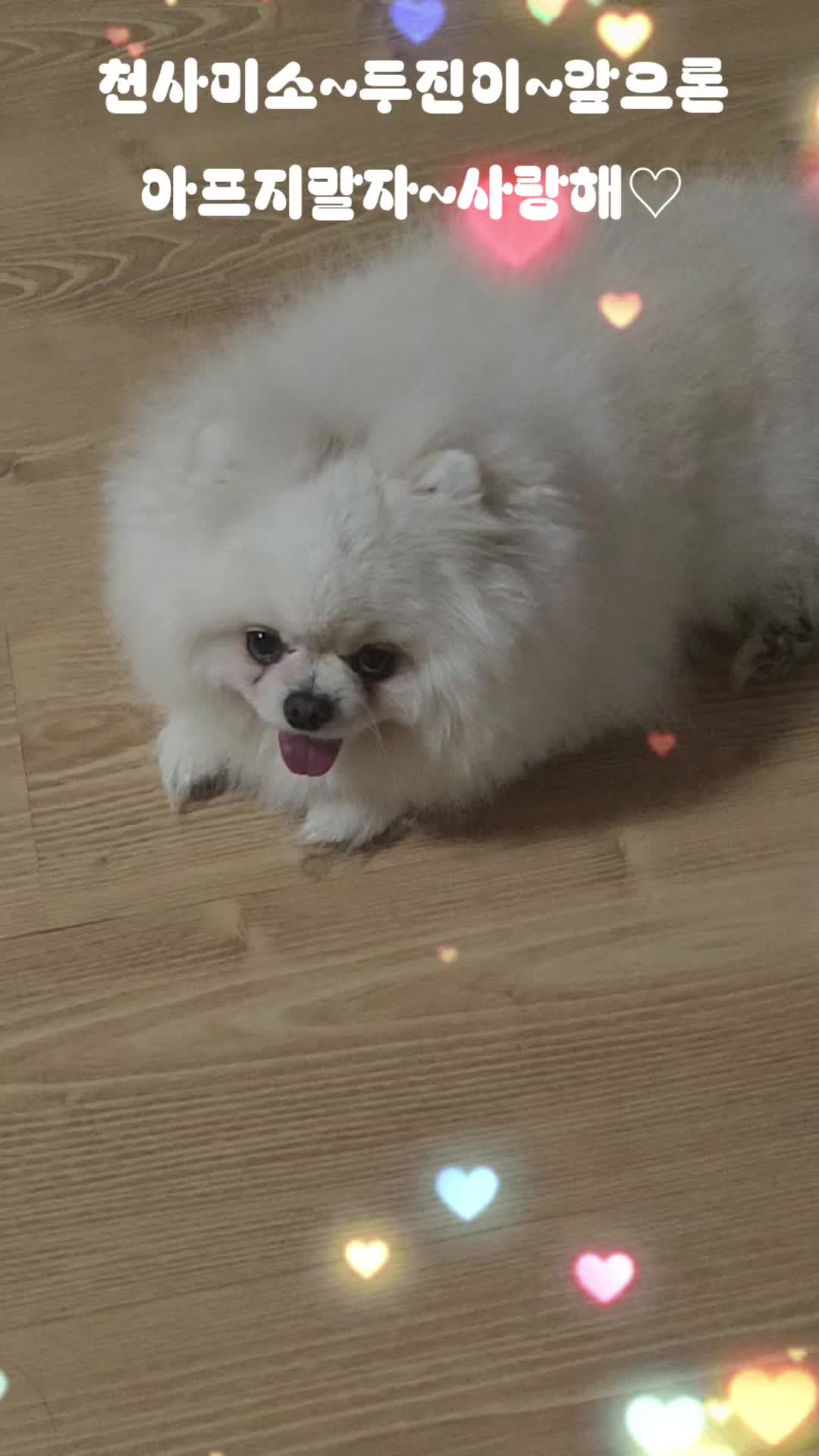@두진이와두리 아빠