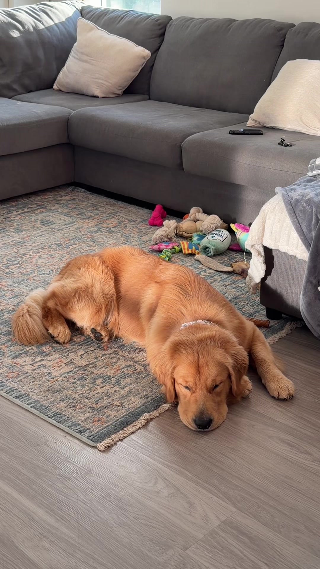 @Teddy🧸