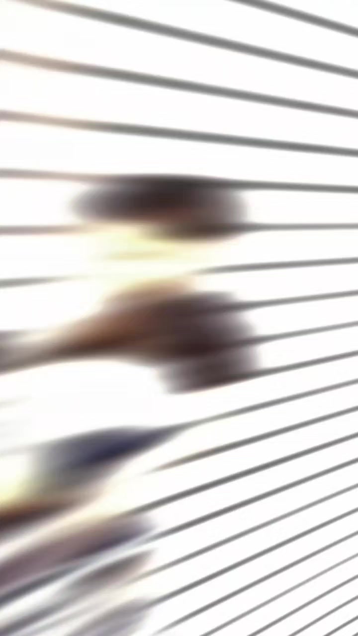 @Cᵣᵢₛₜᵢ|Cₒᵣₑ!!📈📌