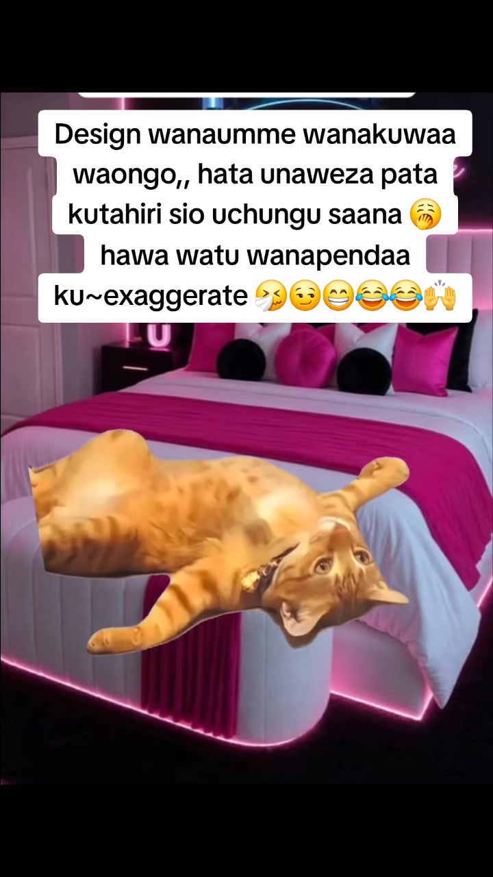 @Miss Vibez ๐ค๐๐