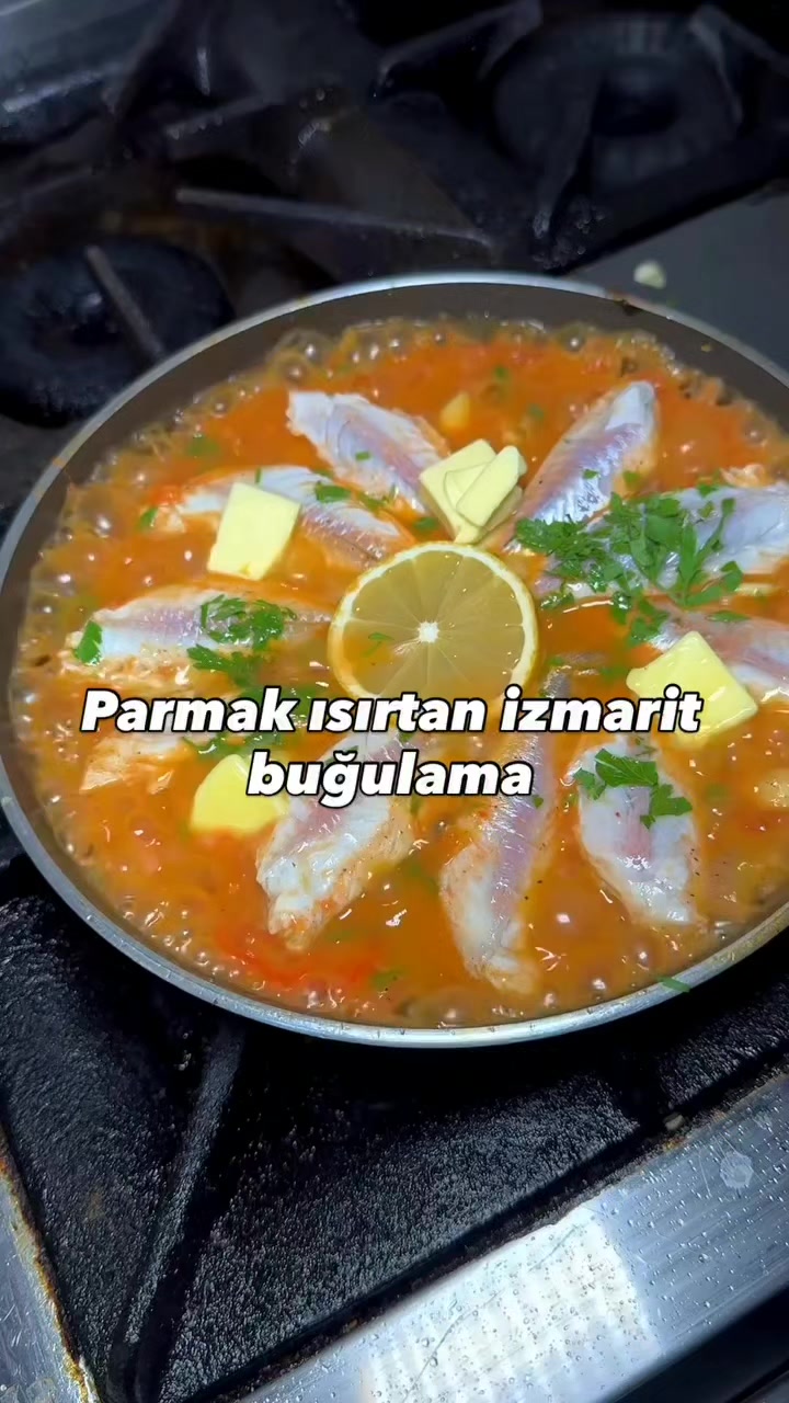 @cihanderyabalikbah&ccedil;elievler