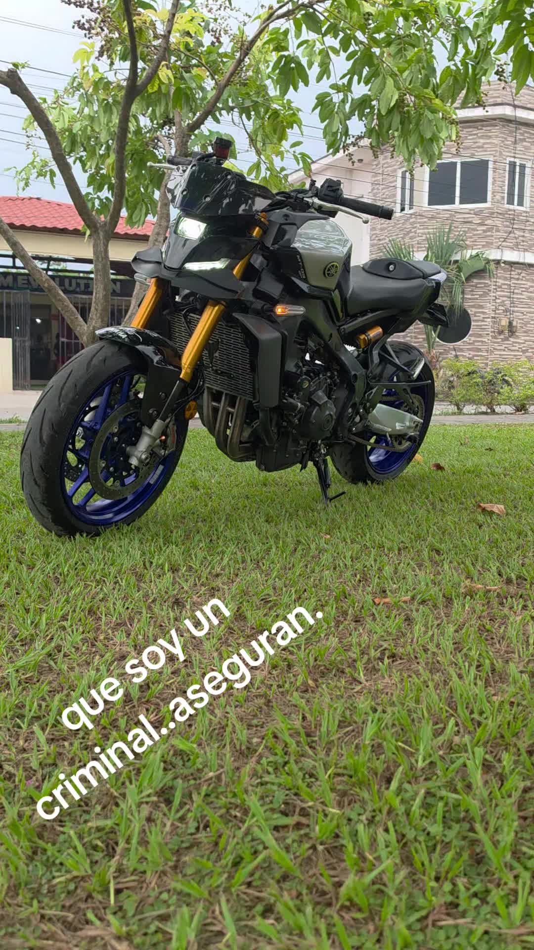 @bilderalfaro