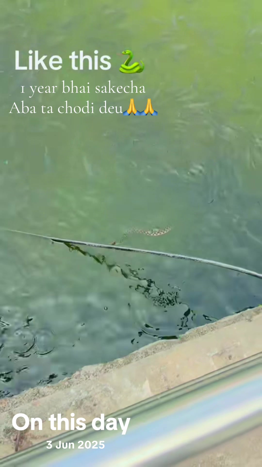 @Amrita Sapkota