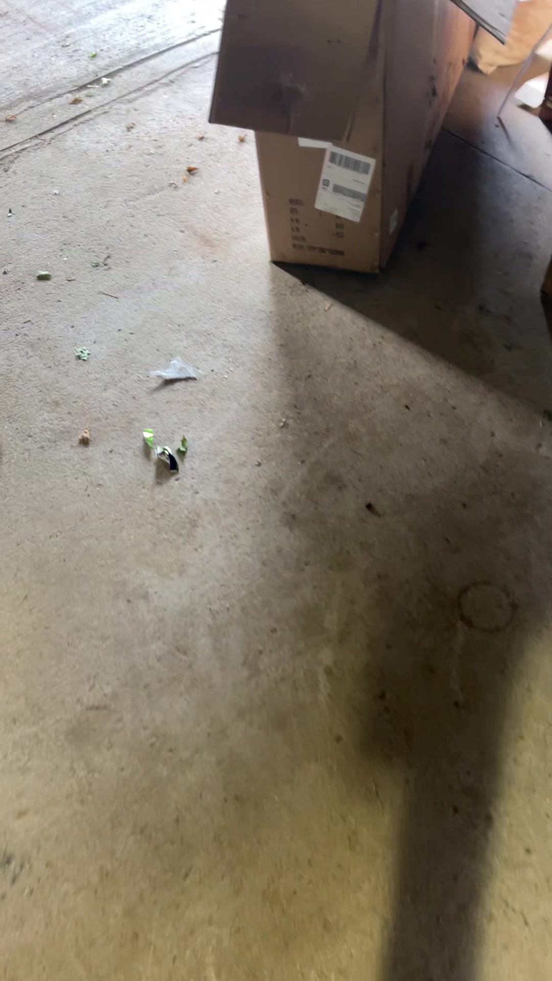 @That 48v e-bike kid