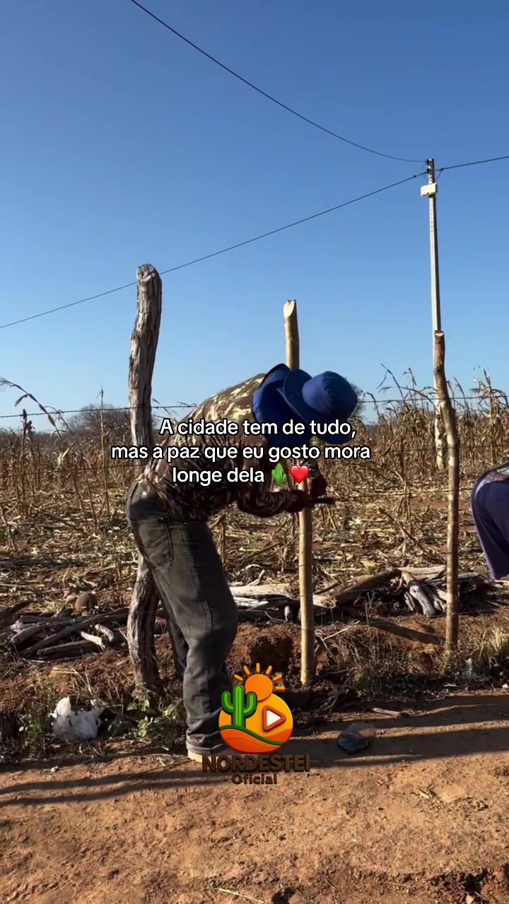 @nordesteioficial