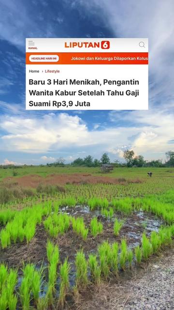 @cimpakol_godam