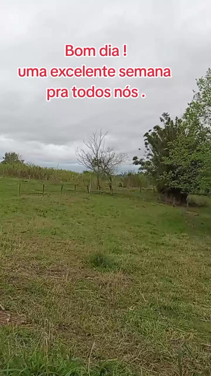 @Marlusa Ferreira Moreira