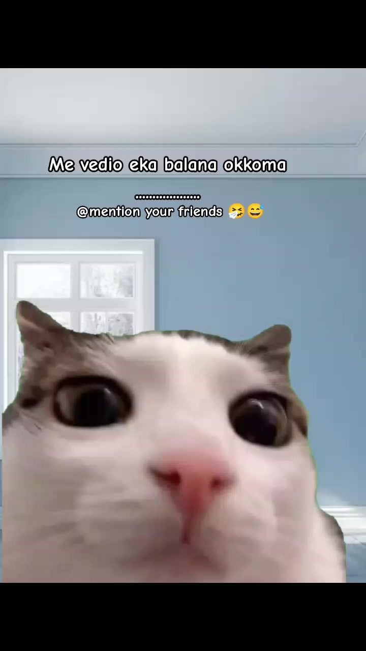 @𝑂𝑝𝑧𝑧𝑧