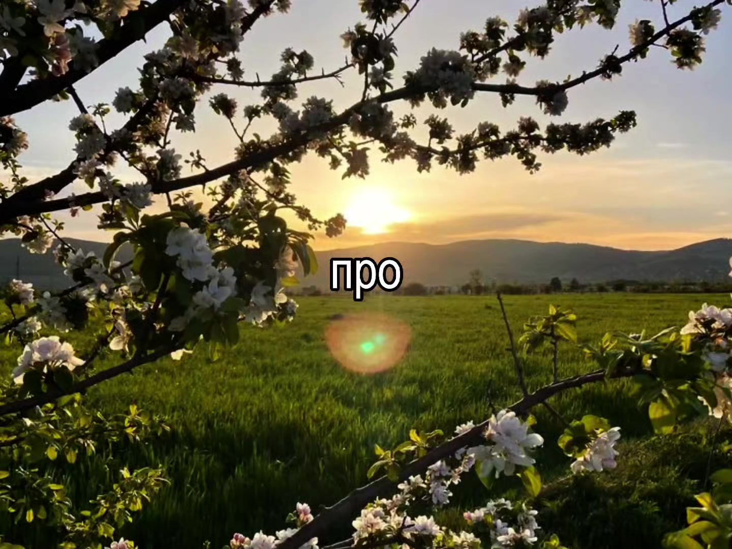 @kazanskii