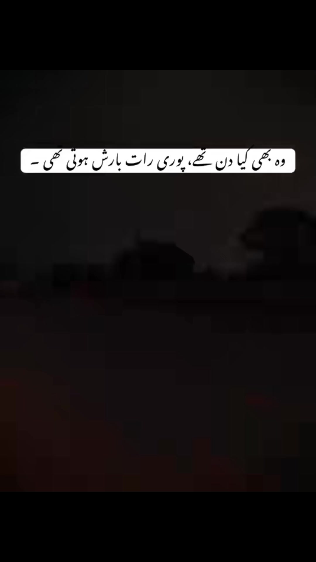 @🐯متین صاحب 786🦁