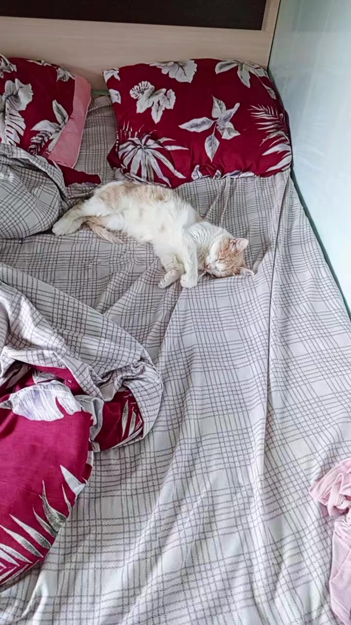 @Леська 🥰🥰🥰