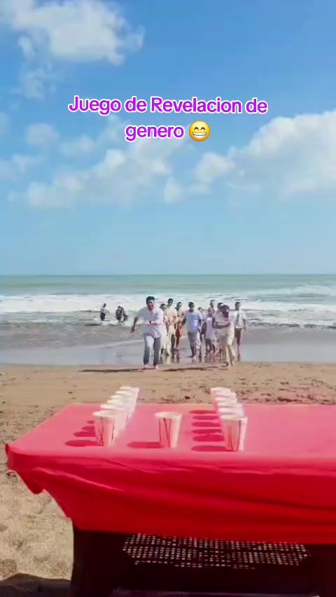 @Mary Vasconcelos 🥰