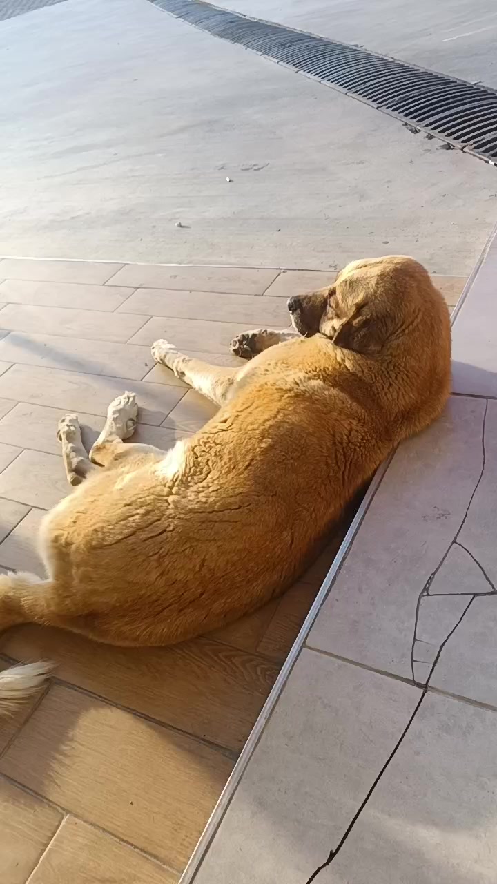 @ozan_oziiii_