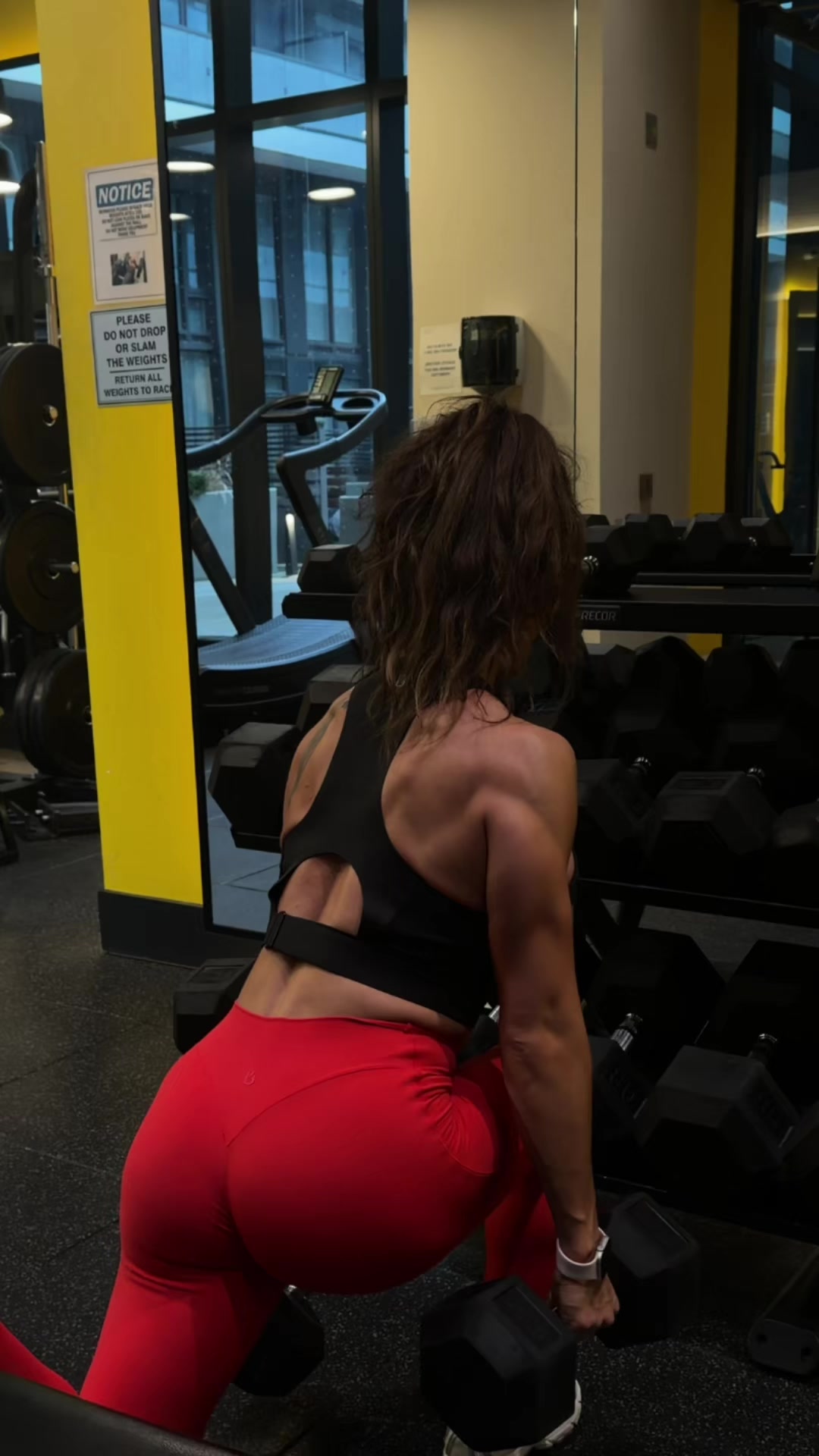 @bionicmarissa