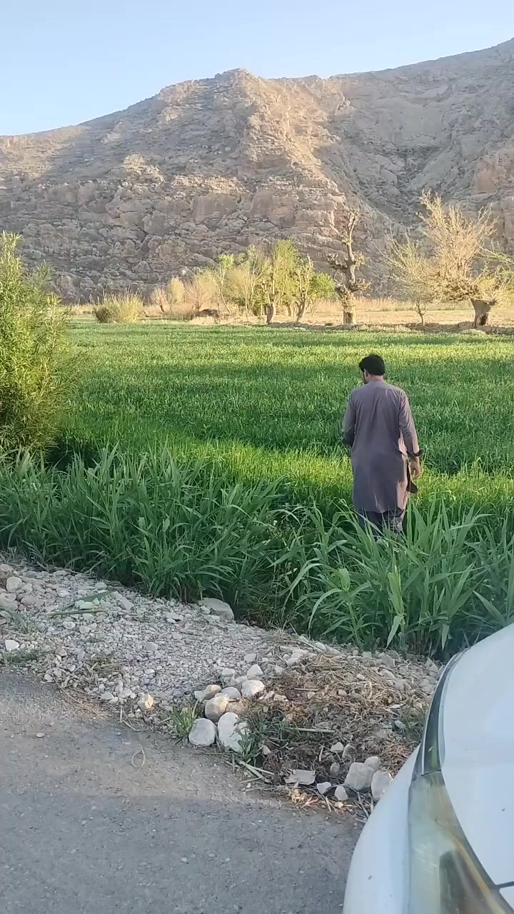 @🌿🌺🥀U۔K.NASIR🌿🌺🥀