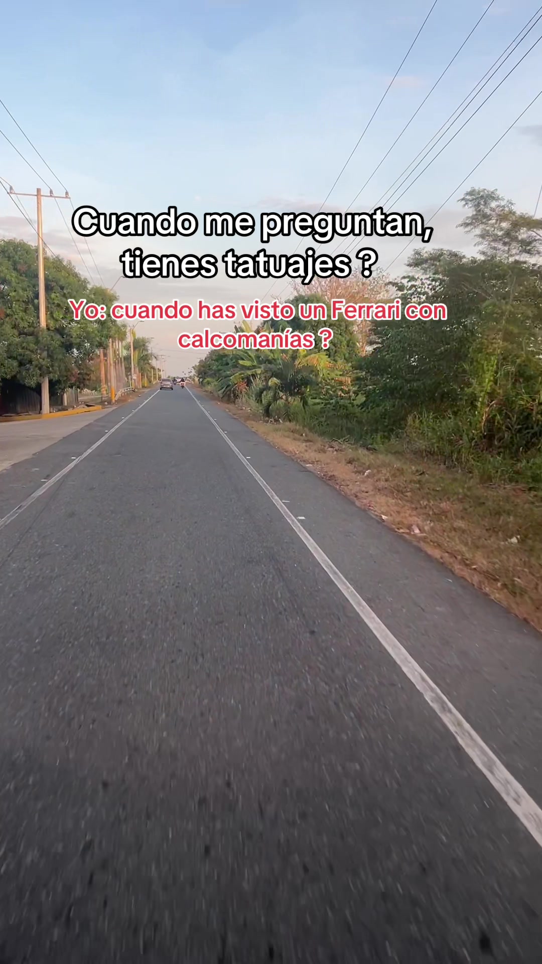 @Mariana Gil