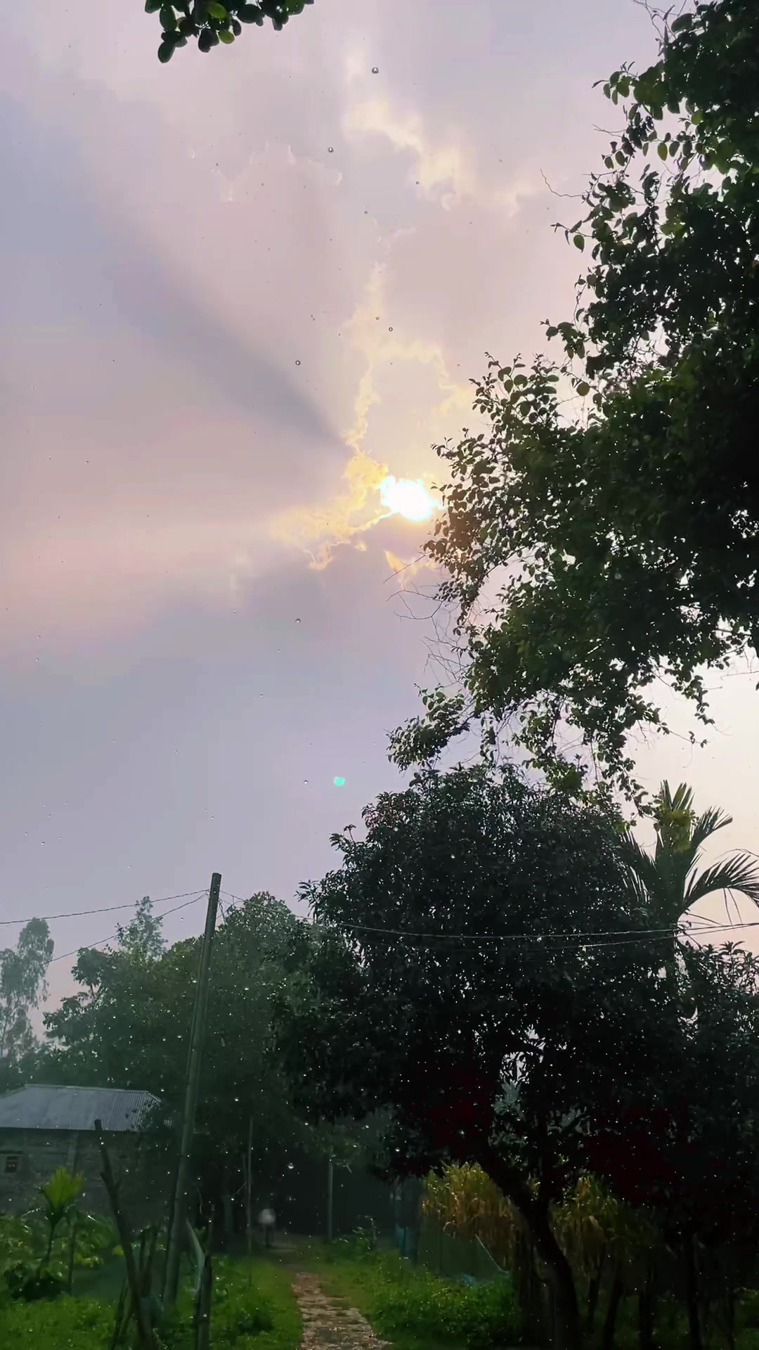 @Nasirul🤍